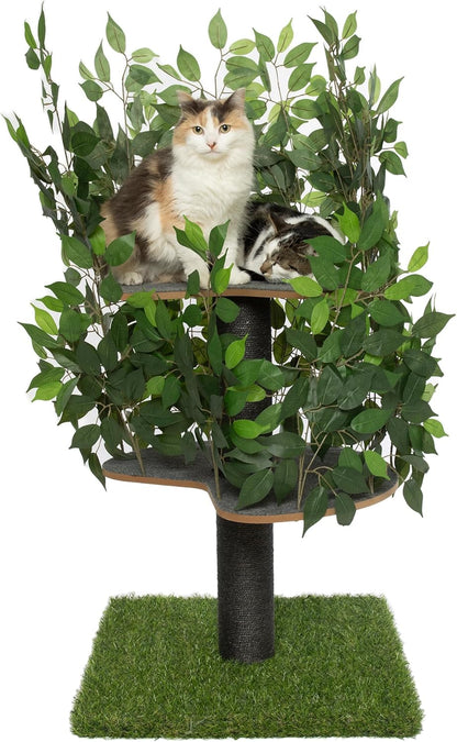 Arbre Chat Design Naturel Feuilles