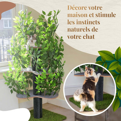 Arbre Chat Design Naturel Feuilles