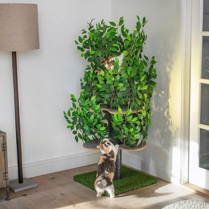 Arbre Chat Design Naturel Feuilles