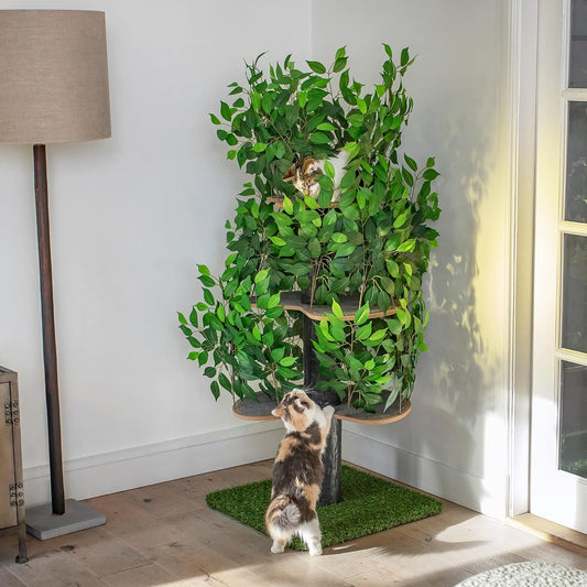 Arbre Chat Design Naturel Feuilles
