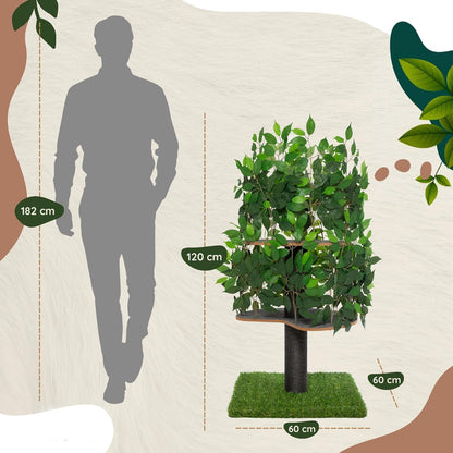 Arbre Chat Design Naturel Feuilles