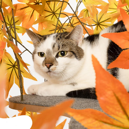 Arbre Chat Design Naturel Feuilles