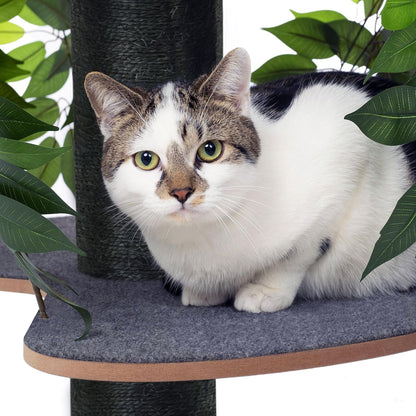 Arbre Chat Design Naturel Feuilles