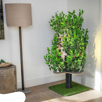 Arbre Chat Design Naturel Feuilles