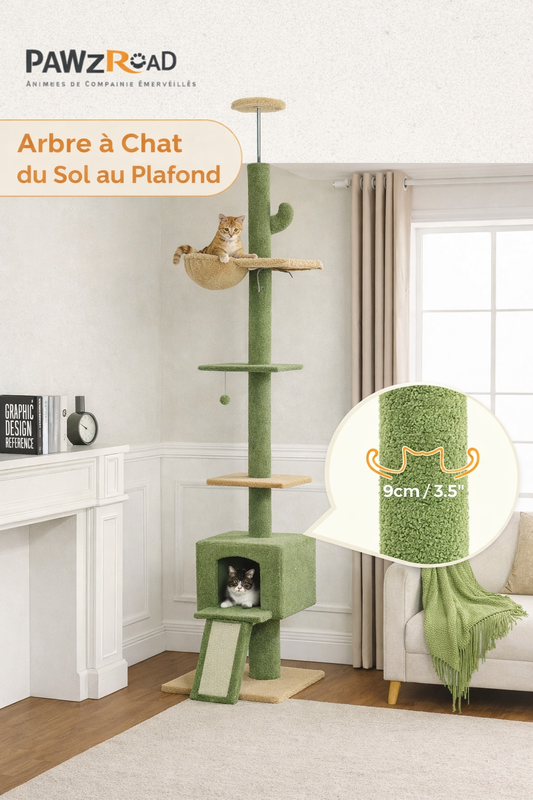 Arbre à chat cactus réglable sol plafond