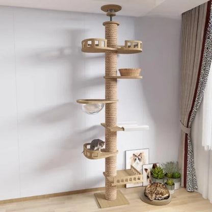 Arbre Chat XXL Bois Naturel Plafond Hamac Grands Chats