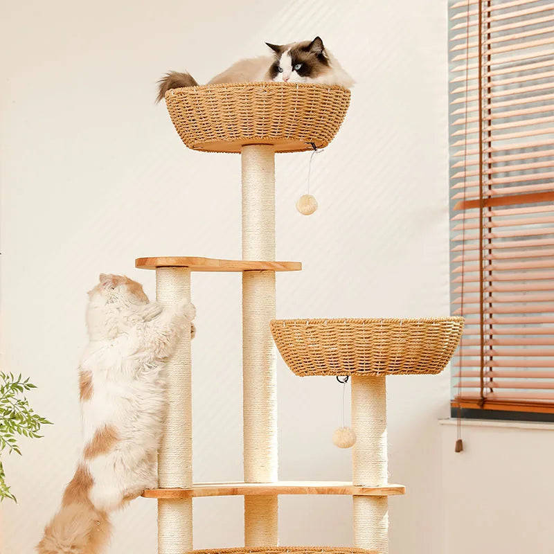Arbre Chat Bois Massif Design