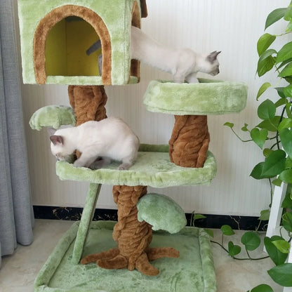 Arbre Chat Multi-Niveaux Maison Luxe