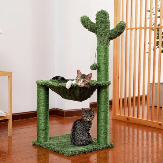 Arbre Chat Cactus Hamac Économique
