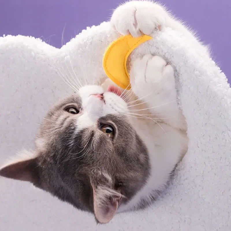 Arbre à Chat Nuage Céleste