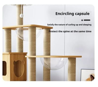 Arbre à Chat en Bois Massif