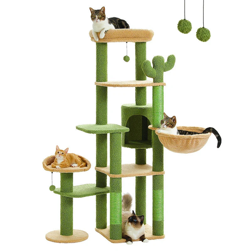Arbre Chat Cactus Condo Hamac