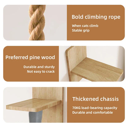 Arbre Chat Mural Corde Escalade