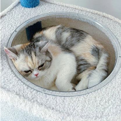 Arbre à Chat Nuage Perchoir Cabane