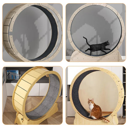 Tapis Griffoir Chat Autocollant Découpable