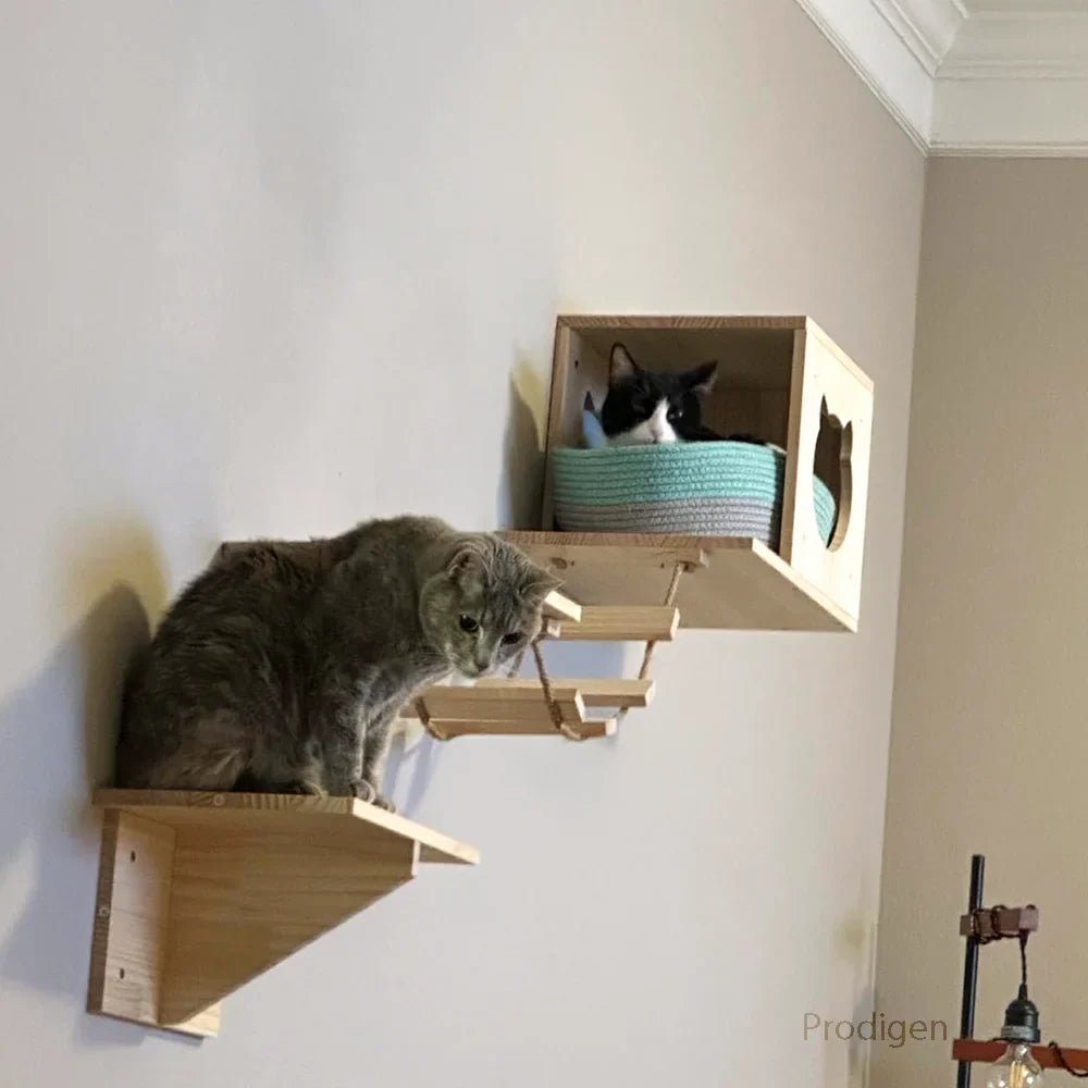 Support Mural Gamelles Chat Bois