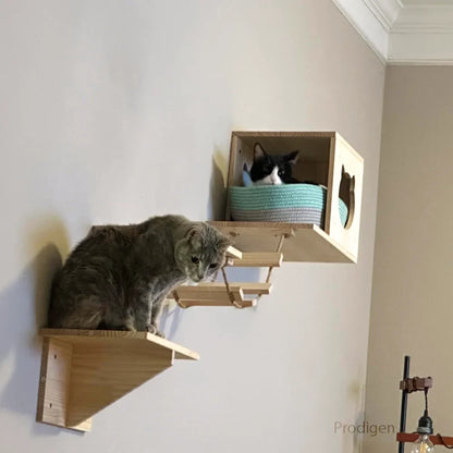 Support Mural Gamelles Chat Bois