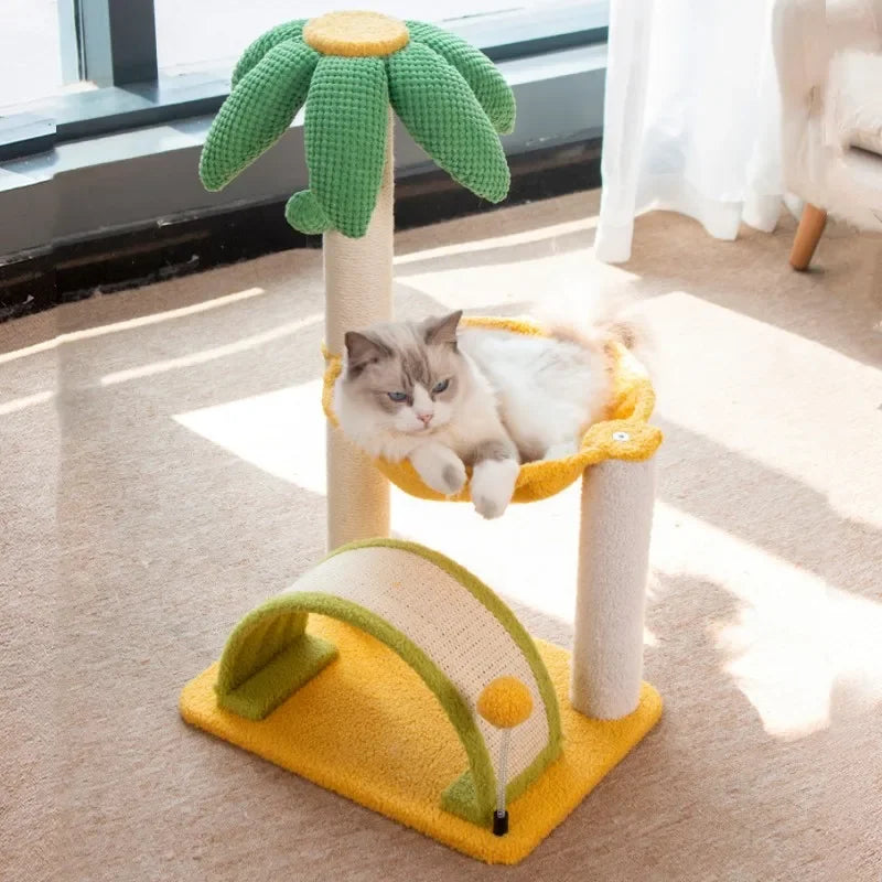 Arbre Chat Tropical Hamac