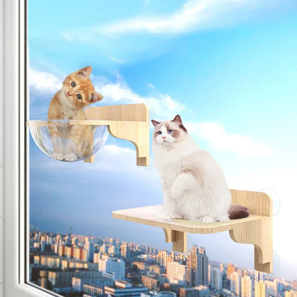 Étagères Fenêtre Chat Mural Ventouses