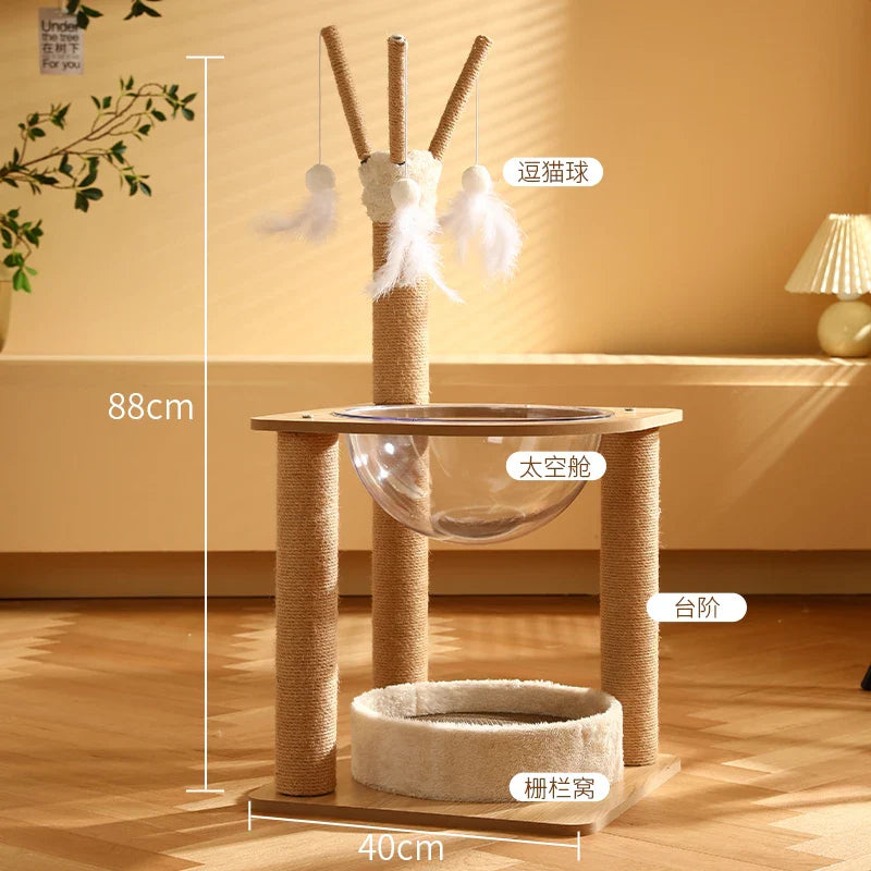 Arbre Chat Bois Massif Design
