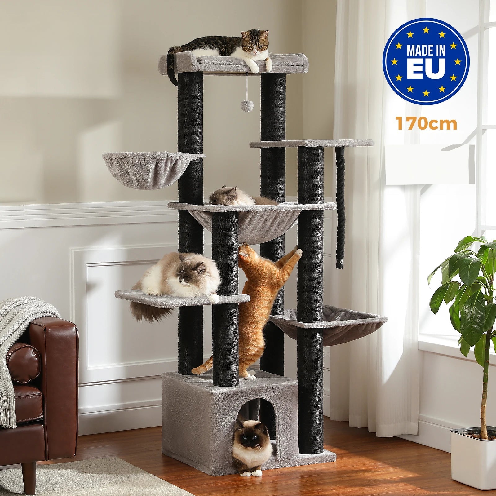 Arbre Chat Maine Coon Grands Chats