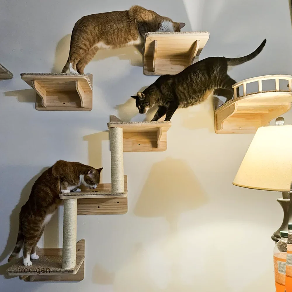 Support Mural Gamelles Chat Bois