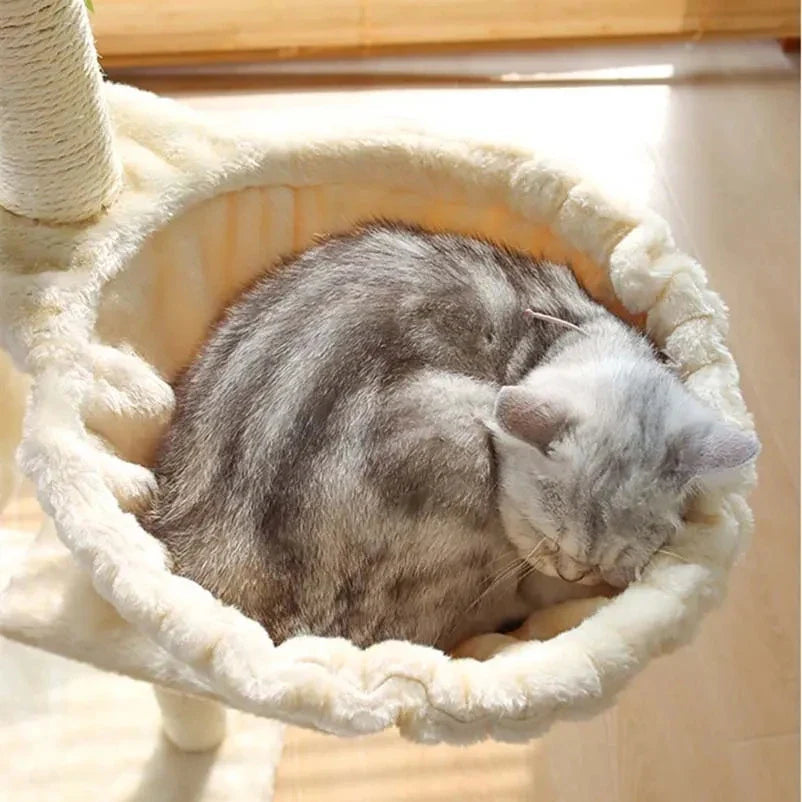 Arbre Chat Villa Plateformes