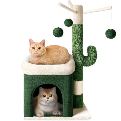 Arbre Chat Cactus Nid Douillet