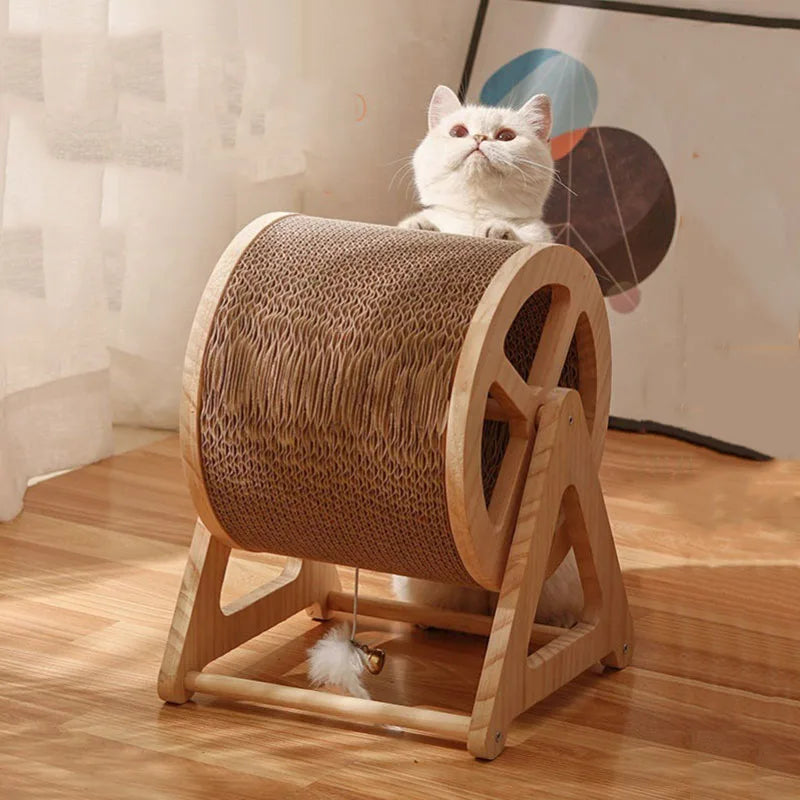 Roue d'Exercice Silencieuse pour Chat