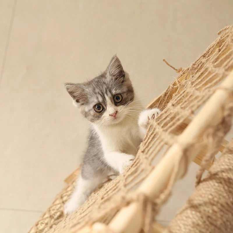 Arbre Chat Bois Multifonctions Hamac