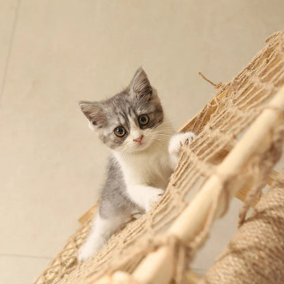 Arbre Chat Bois Multifonctions Hamac