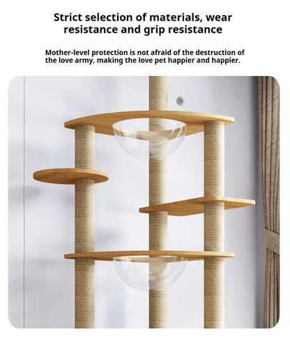 Arbre à Chat en Bois Massif