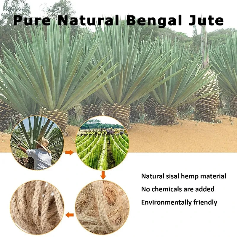 Corde Sisal Naturel Griffoir Chat