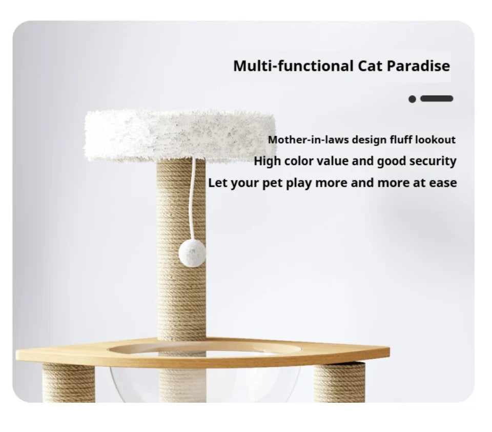 Arbre à Chat en Bois Massif