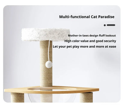 Arbre à Chat en Bois Massif