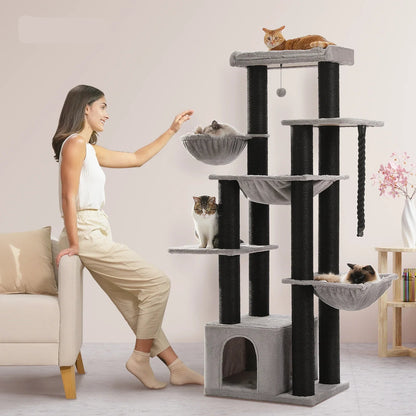 Arbre Chat Maine Coon Grands Chats