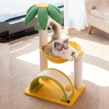 Arbre Chat Tropical Hamac
