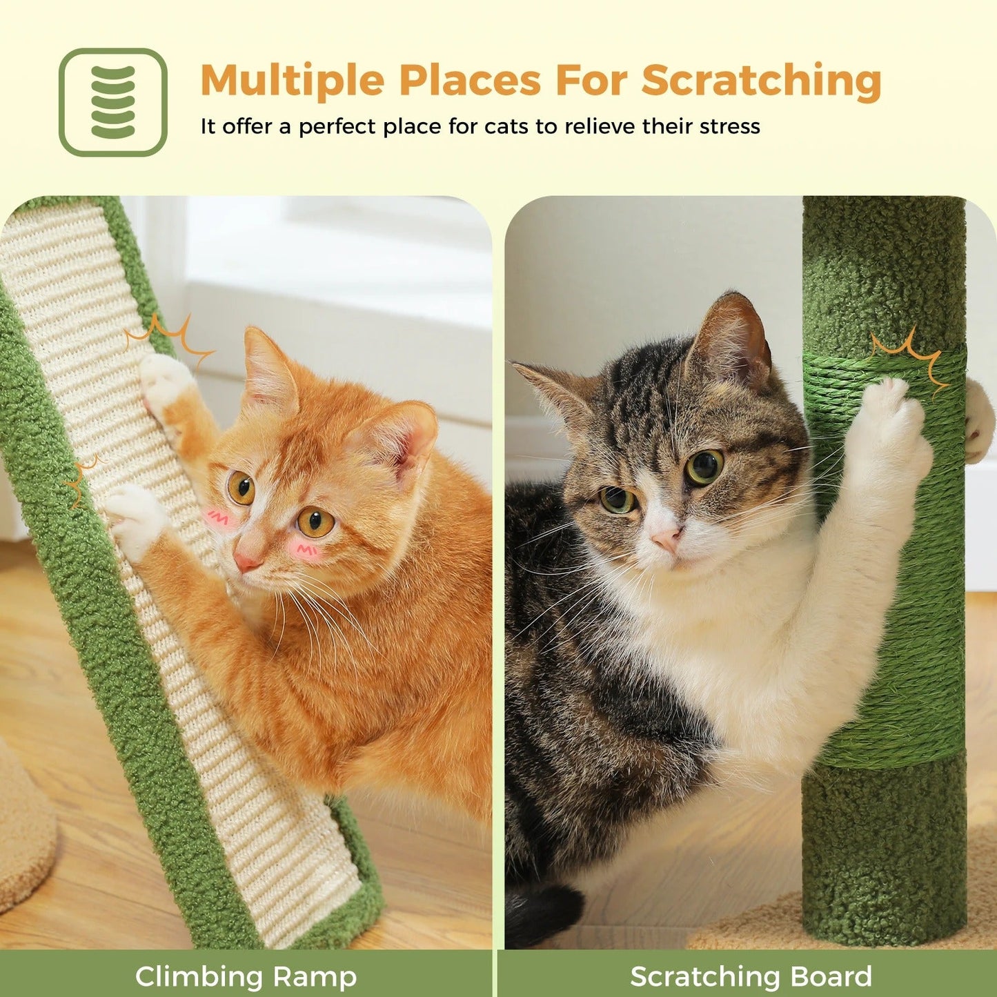 Arbre à Chat Confortable Douillet