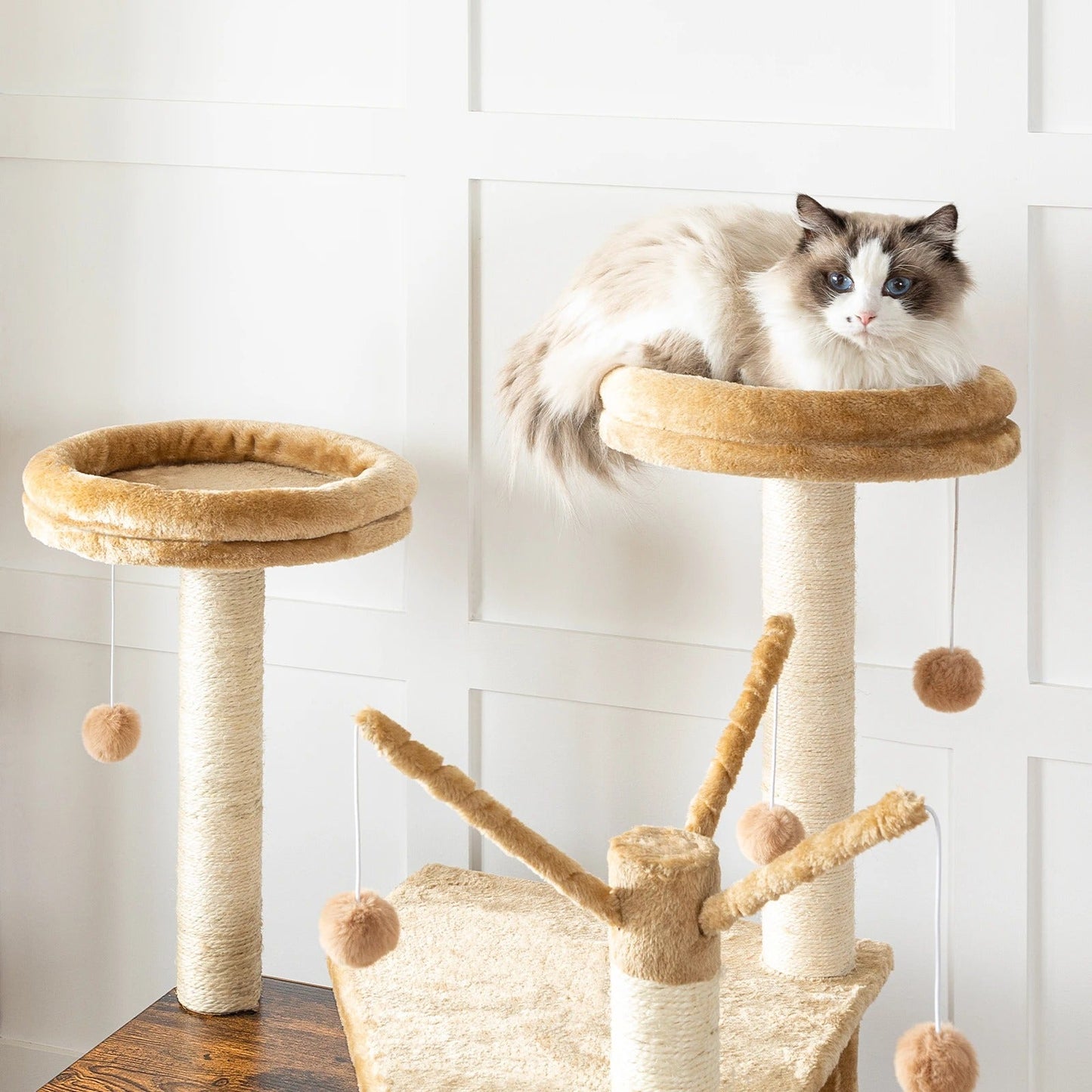 Arbre Chat Bois Design Bac Litière