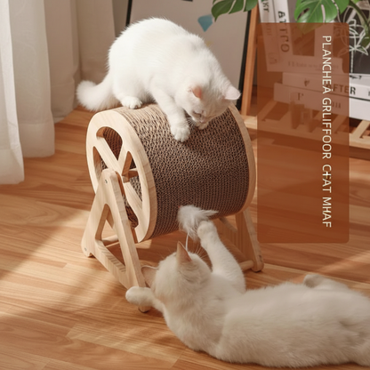 Roue d'Exercice Silencieuse pour Chat