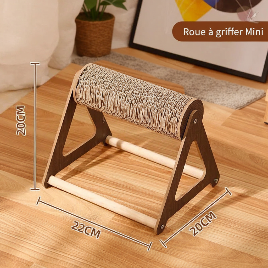 Roue d'Exercice Silencieuse pour Chat